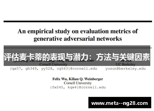评估麦卡蒂的表现与潜力：方法与关键因素